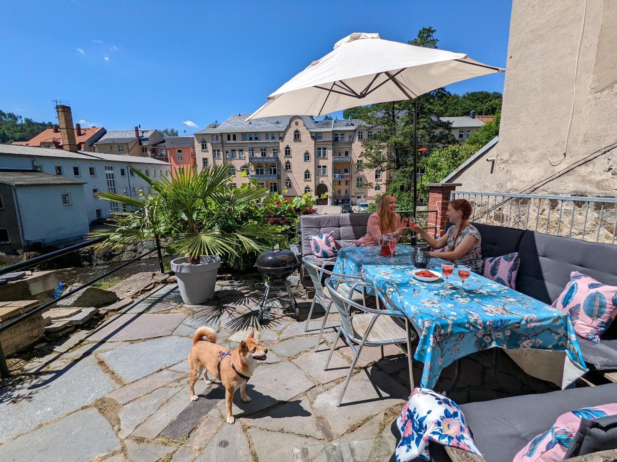 Hw3 - Urlaubsmagie - Helle, Grosse Wohnung Mit Pool Sebnitz Exterior foto