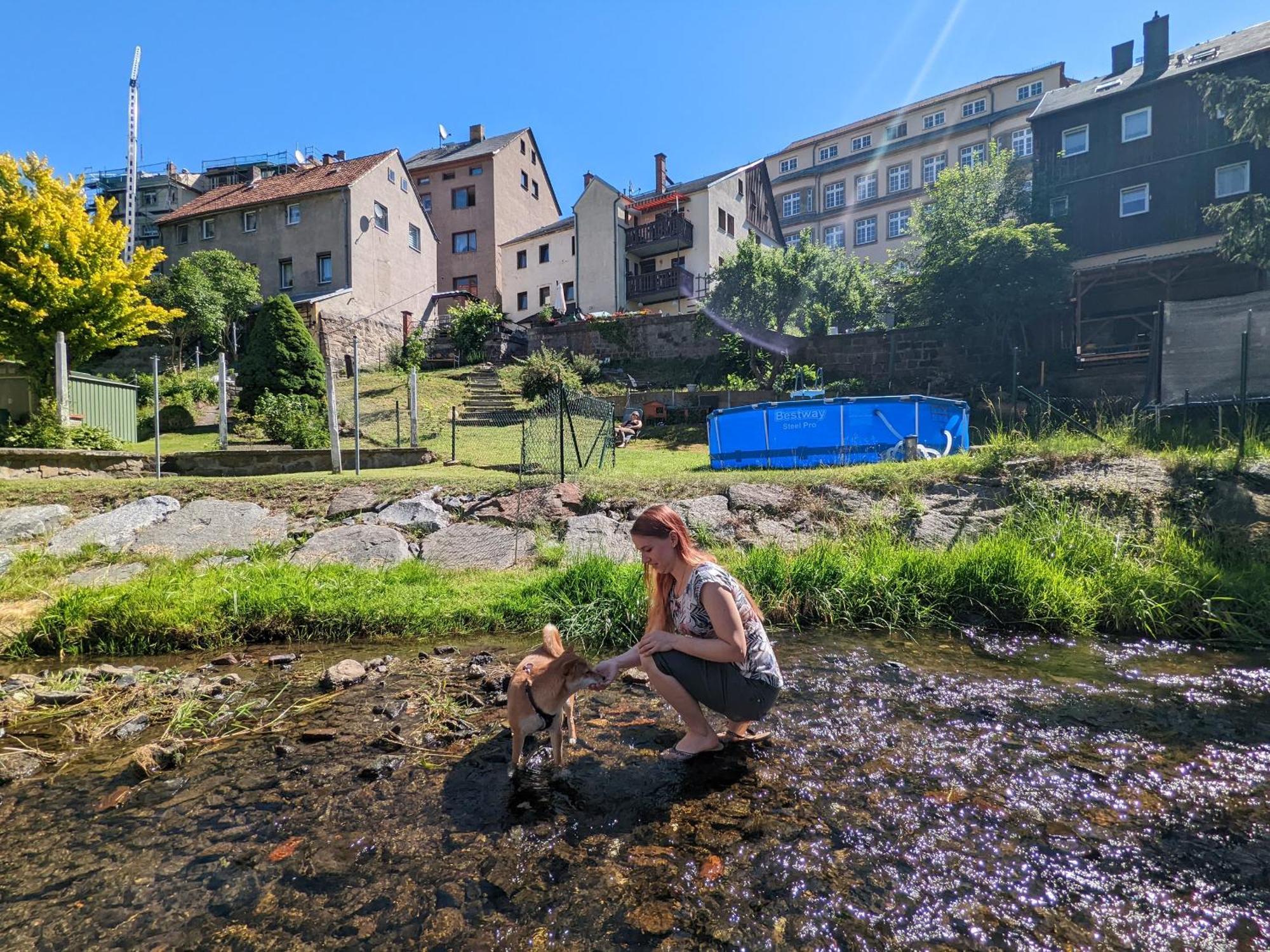 Hw3 - Urlaubsmagie - Helle, Grosse Wohnung Mit Pool Sebnitz Exterior foto
