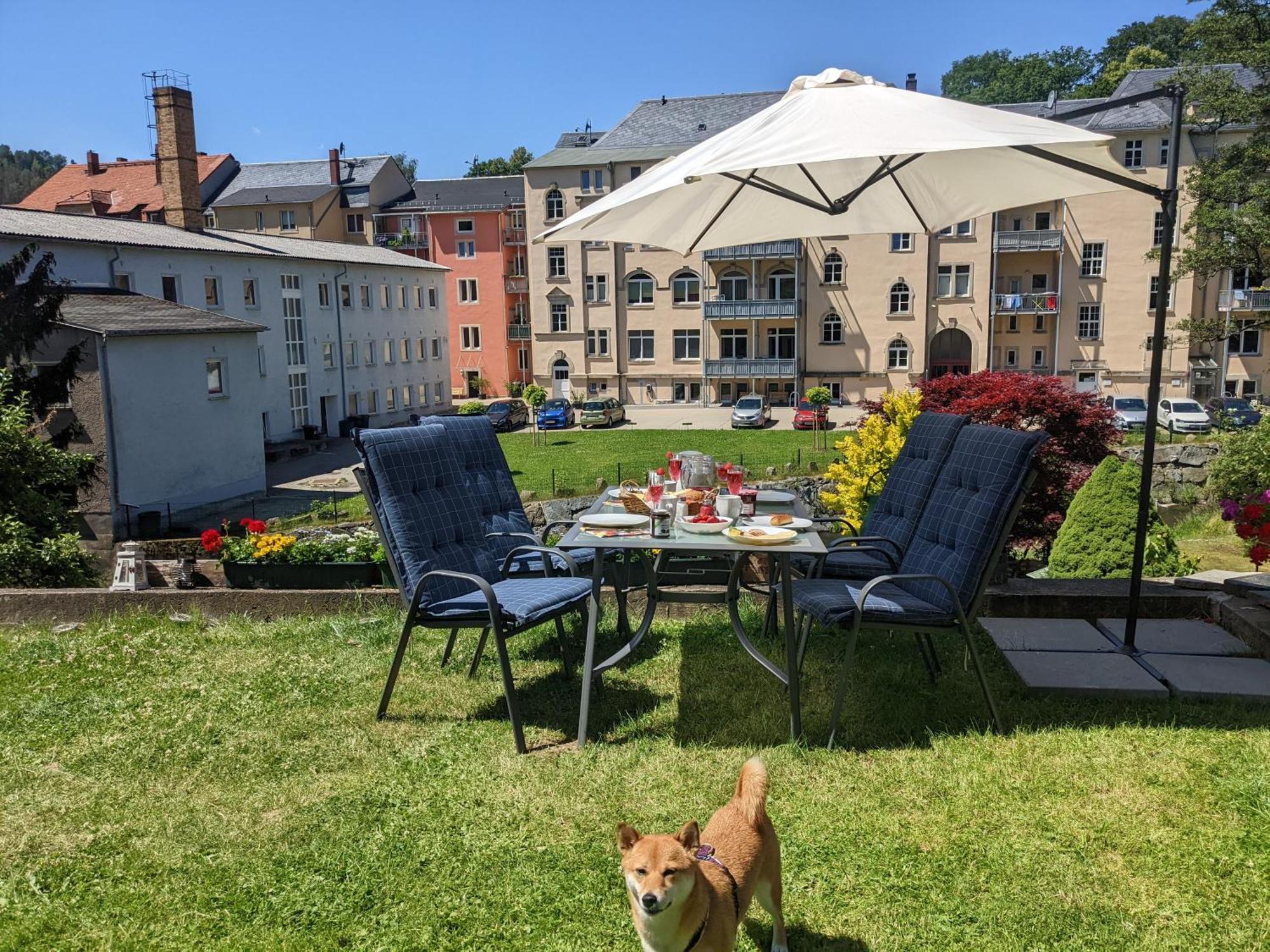 Hw3 - Urlaubsmagie - Helle, Grosse Wohnung Mit Pool Sebnitz Exterior foto
