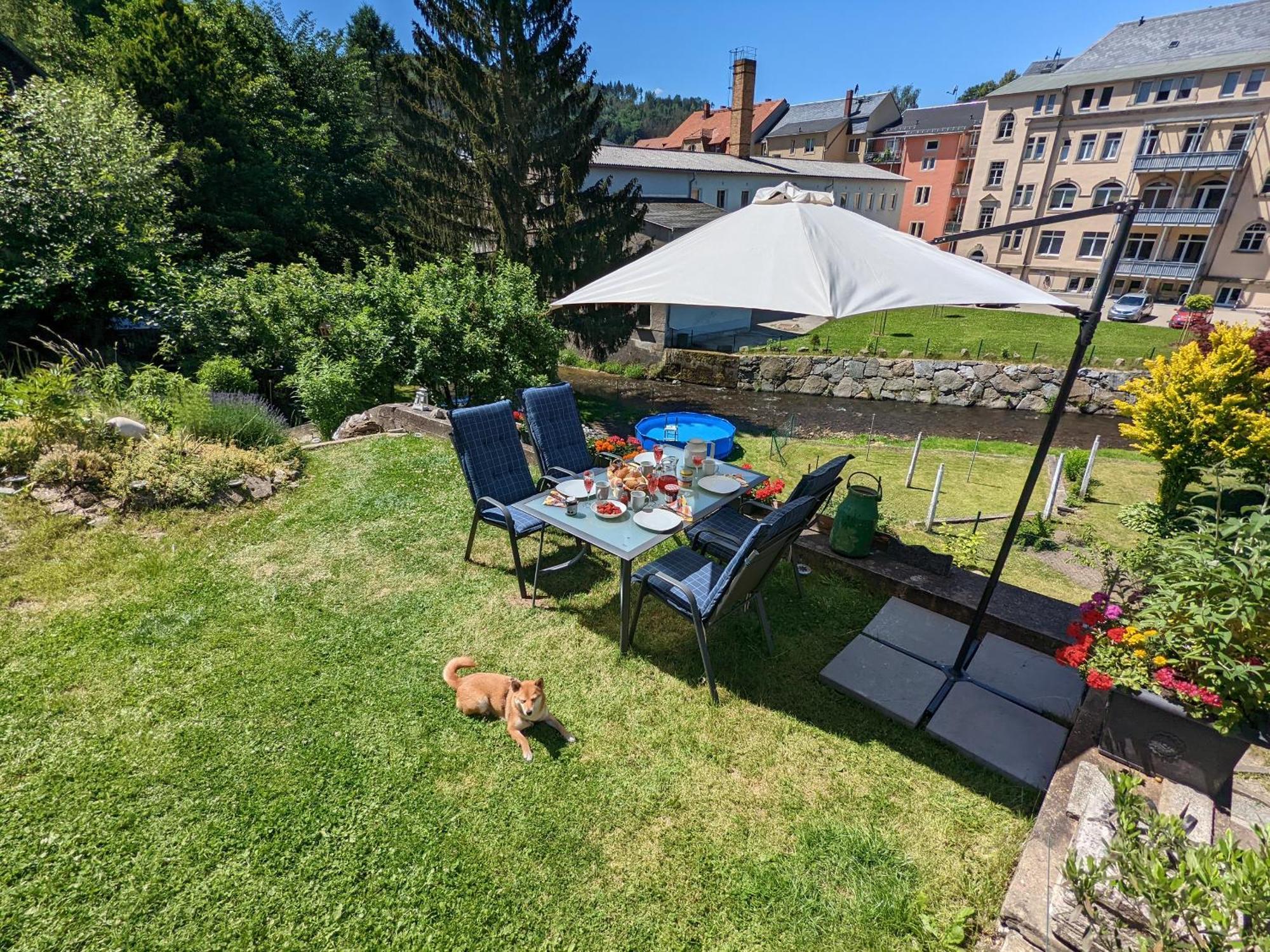 Hw3 - Urlaubsmagie - Helle, Grosse Wohnung Mit Pool Sebnitz Exterior foto