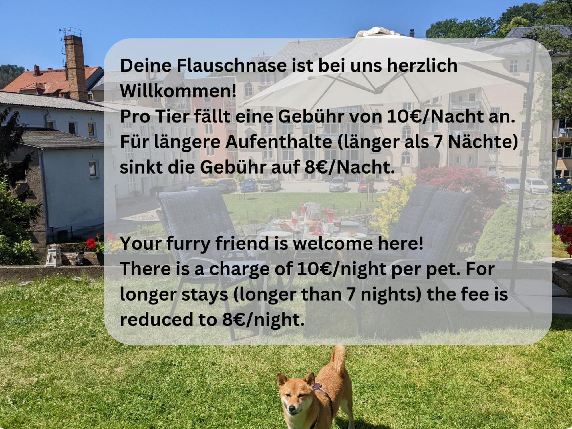 Hw3 - Urlaubsmagie - Helle, Grosse Wohnung Mit Pool Sebnitz Exterior foto